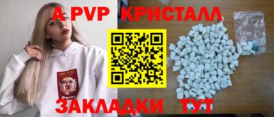 молекула духа Кингисепп