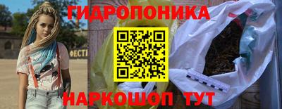 СК Кимры