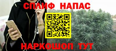 молекула духа Кингисепп