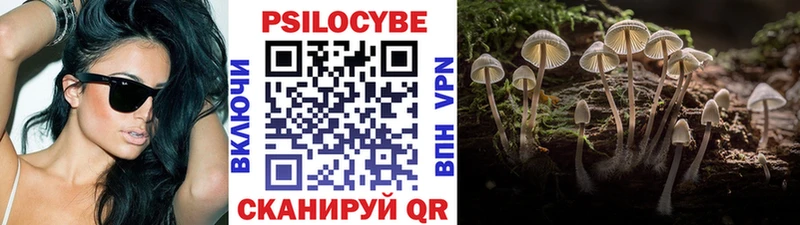 OMG как зайти  Прокопьевск  Галлюциногенные грибы Psilocybe  купить наркоту 