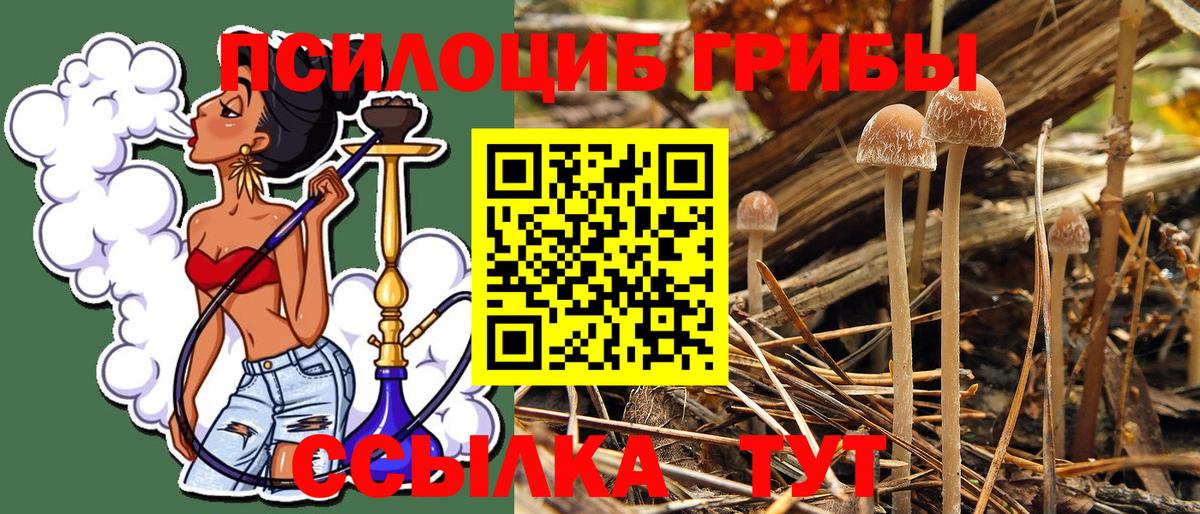 Псилоцибиновые грибы GOLDEN TEACHER  Прокопьевск 