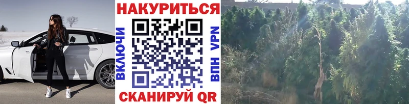 Канабис Ganja гидра маркетплейс Прокопьевск